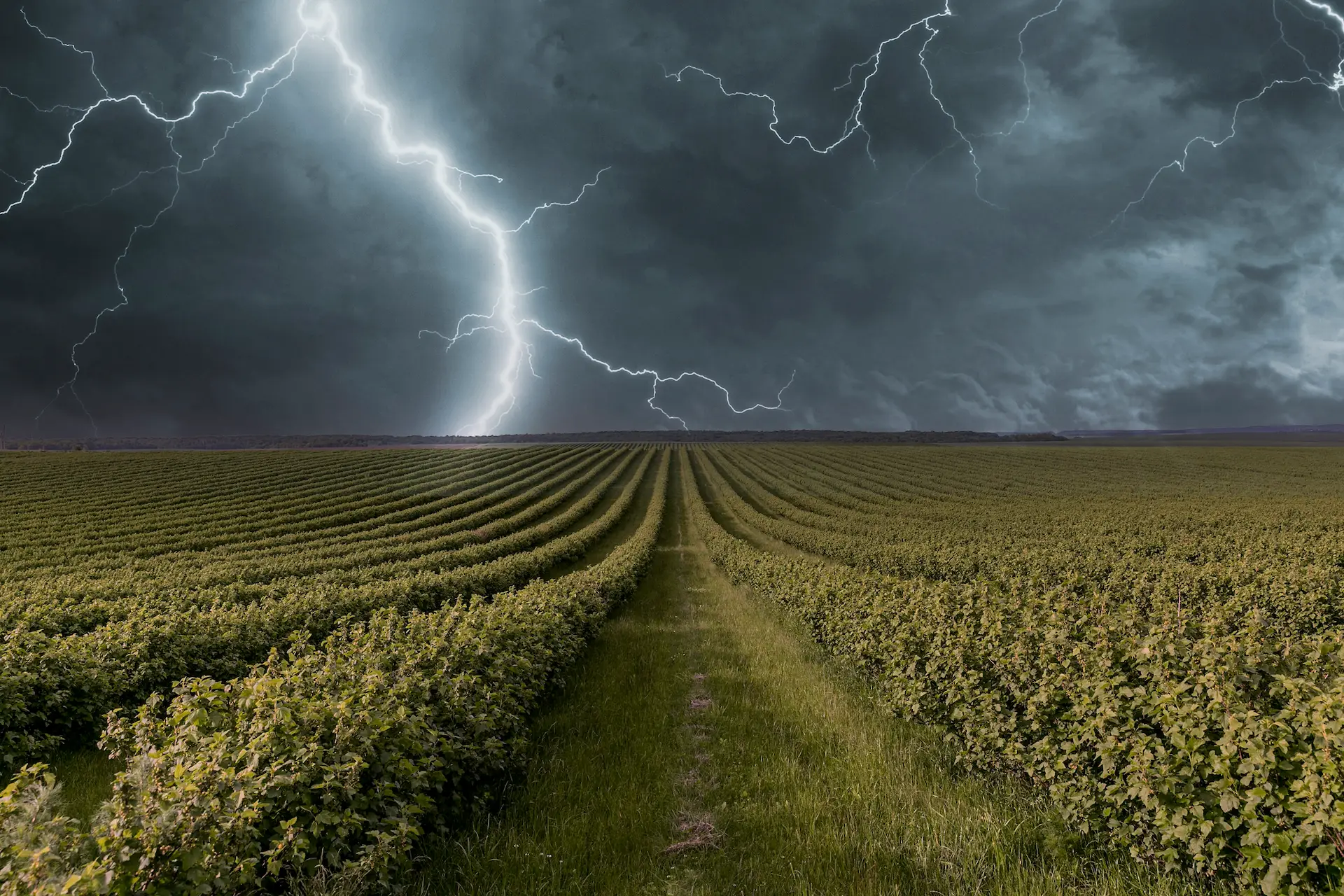 consultoria em meteorologia e energia ()